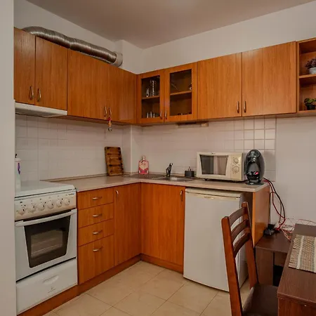 Apartment With Indoor Fireplace